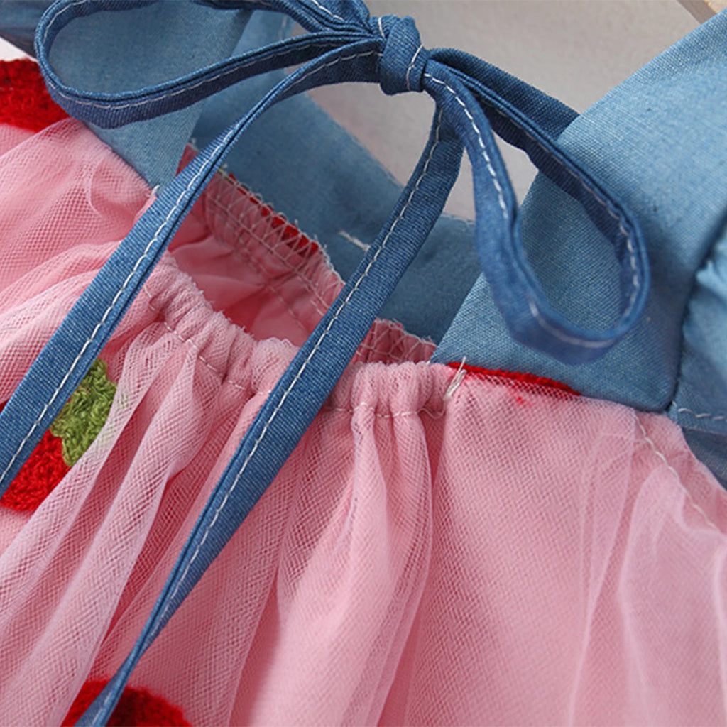 Little Sweet Strawberry Princess Dress