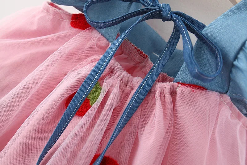 Little Sweet Strawberry Princess Dress